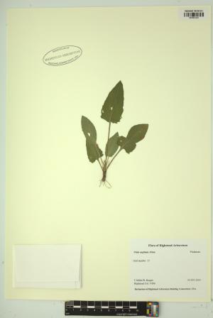 99501-Service File.jpg
