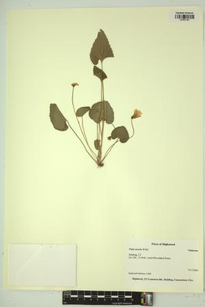 99503-Service File.jpg