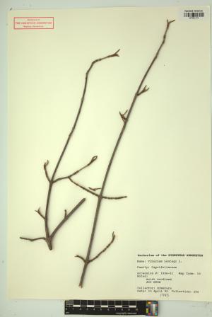 99512-Service File.jpg
